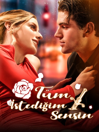 Tüm İstediğim Sensin