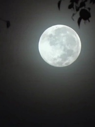 الحلقة 1 - عودة الملكة