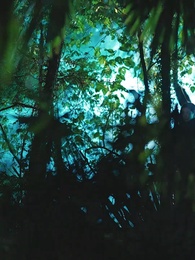 Tập 1 - Bí Mật Gia Tộc