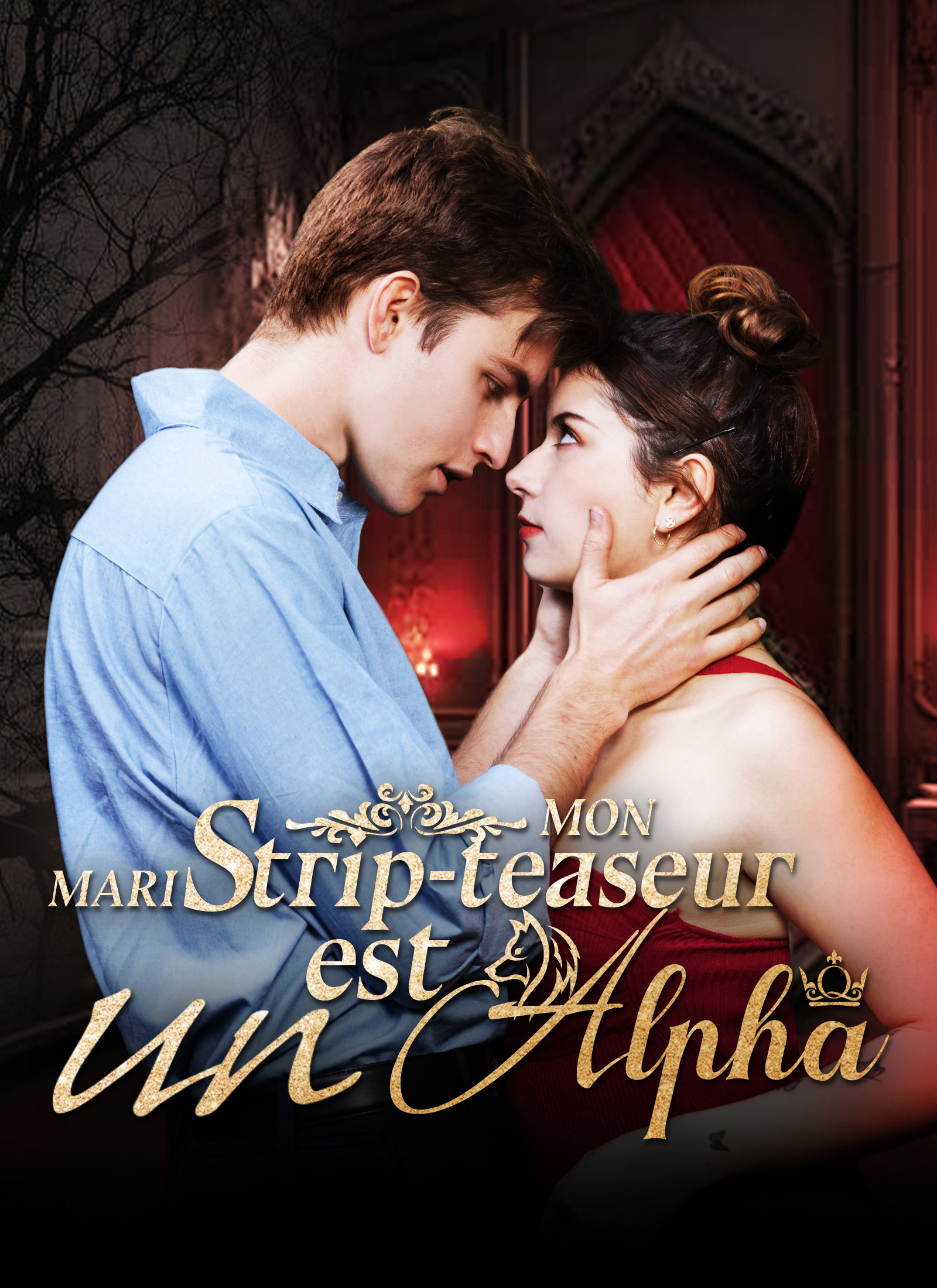 Couverture de Mon mari strip-teaseur est un Alpha