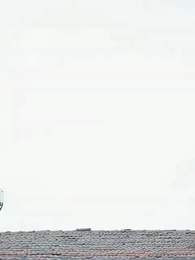 Episódio 1 - Quando a Vida Virou Clara