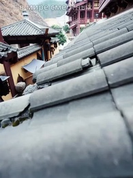 Серия 10 - Три жизни в мучительном пути любви