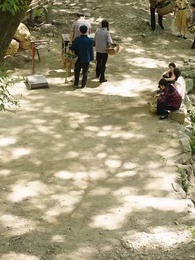 ตอนที่ 30 - เด็กน้อยมหัศจรรย์