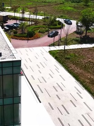 The Heir Hidden in Shadows - Episode 59