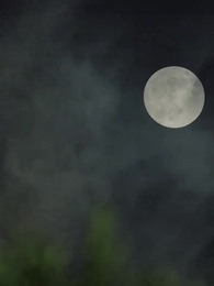 Episodio 52 - Mi amor, mi venganza