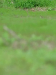 第3話 - 君を守る春の大地