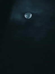 بعث الإمبراطورة لخدمتي - Episode 42