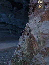 第21集 - 封疆悍卒