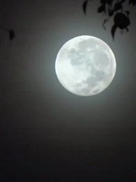 Episódio 1 - O Retorno da Fênix