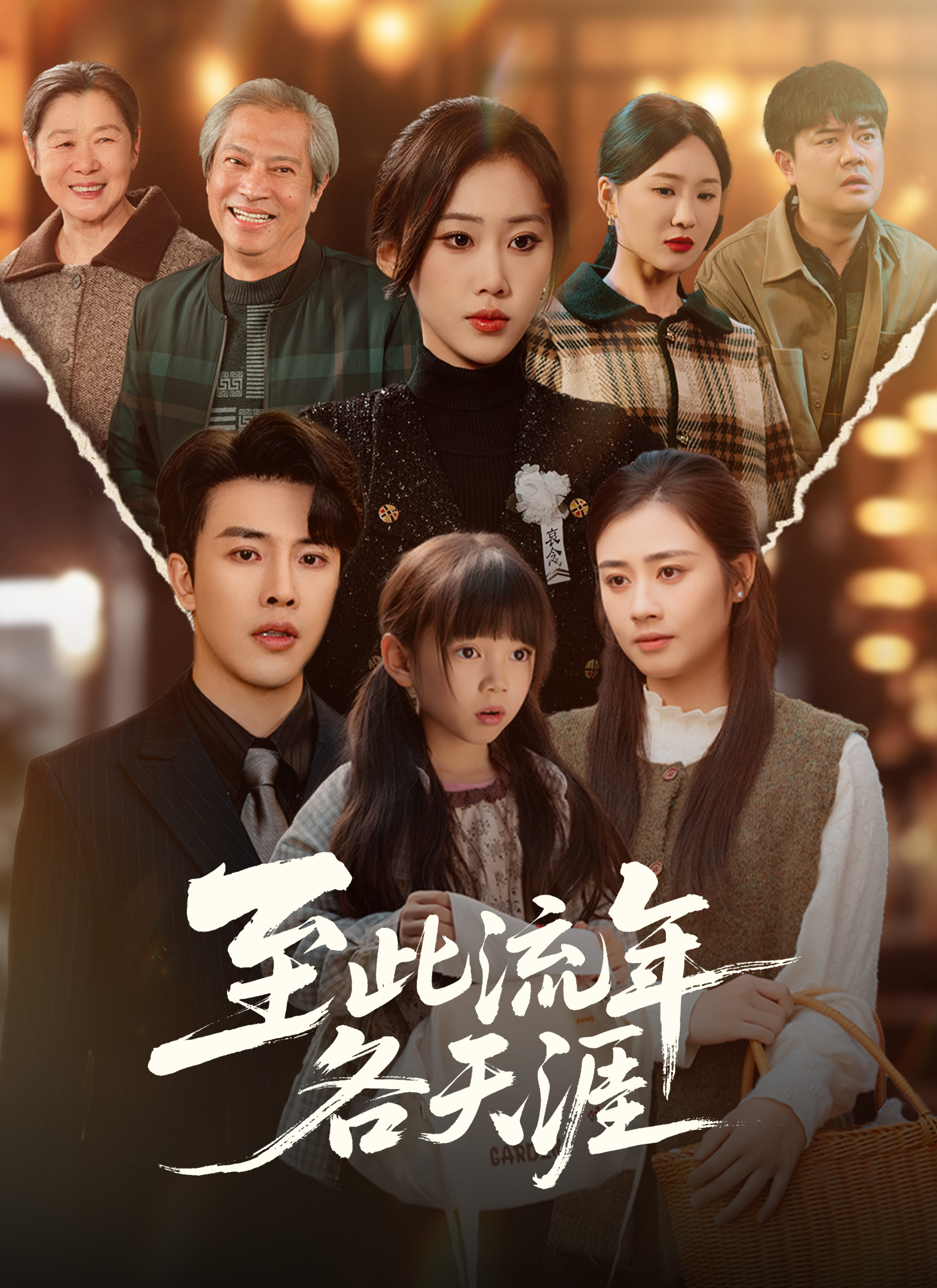 《至此流年各天涯》封面
