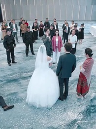 O Retorno da Fênix - Episode 19