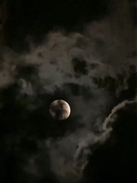 Ejderhanın Yeni Efendisi - Episode 1