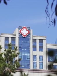 第49集 - 我真不是大小姐