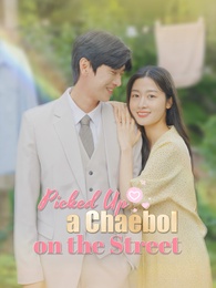 Picked Up a Chaebol on the Street