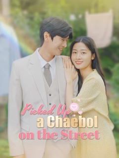Picked Up a Chaebol on the Street poster