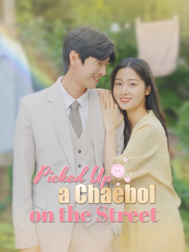 Picked Up a Chaebol on the Street