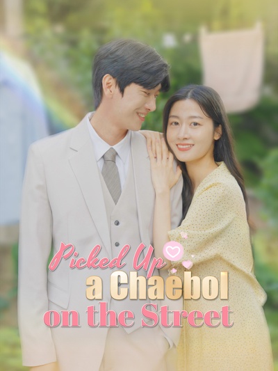 Picked Up a Chaebol on the Street poster