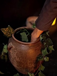 第68集 - 神醫闖花都