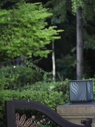 2화 - 꽃길을 향해