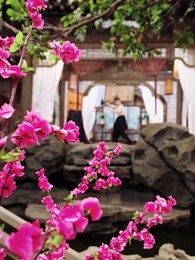 La Renaissance d’un Héritier : De l’Ombre à la Légende - Episode 21