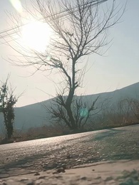 Episode 33 - Rising from Shadows