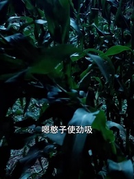 神醫闖花都 - Episode 1