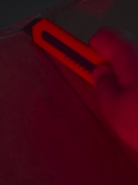 第11話 - 不倫パパラッチ