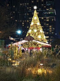 不倫パパラッチ - Episode 28