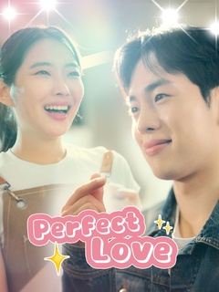 Perfect Love poster