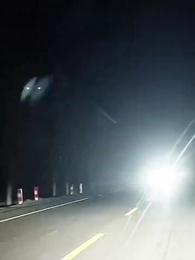 1화 - 꽃길을 향해