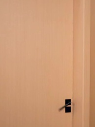 第27話 - 完璧な社長と、予定外の私