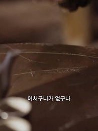 16화 - 여의사 남옥