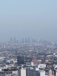 [Dublado]A Andorinha de Ouro Volta ao Ninho - Episode 33