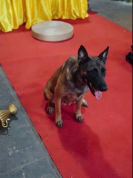 Bölüm 43 - [Dublajlı]Gökyüzü Efsanesi