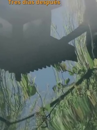 [Doblado]Agradecida por el Pasado - Episode 56