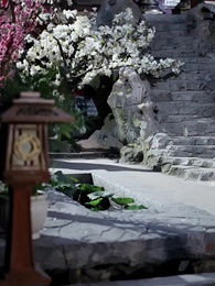 謝他曾誤芳華 - Episode 43