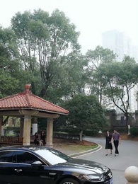 Épisode 16 - [Doublé]Quand l’Infidélité Fait Tout Basculer