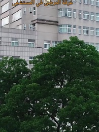 الحلقة 58 - بعد أن خرجت بلا أيّ شيء… انفجرت جنونا.