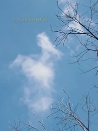 Episode 31 - Vertauschte Bräute: Glorias Zweites Leben