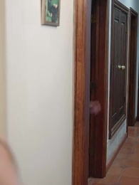 The Double Life of a Billionaire’s Sweet Ex-wifey - Episode 12