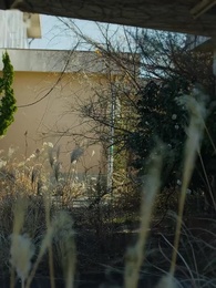 私人逮捕系ユーチューバー - Episode 9