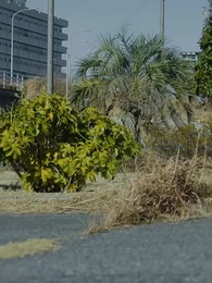 私人逮捕系ユーチューバー - Episode 20