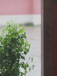 Episode 36 - [Dijuluki]Aku Hanya mau Menikahimu