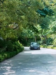 Episódio 4 - Mãe por Acordo: A Cura e a Conspiração