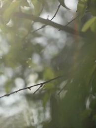 Bölüm 18 - Donmuş Kalp