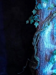 The Cure for Chaos - Episode 65