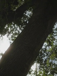 Donmuş Kalp - Episode 58