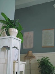 第15集 - 少帥,我不要你了