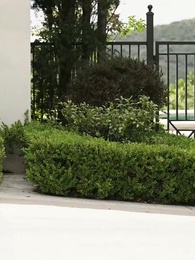 沉睡三十年，我的兄長為我下跪 - Episode 1