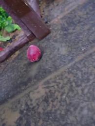 [Doublé]Le Monde des Mortels Vaut le Ciel - Episode 41